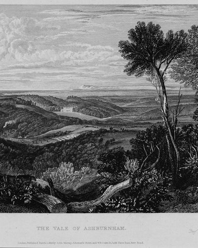 Turner The Vale of Ashburn Bespoke Mural