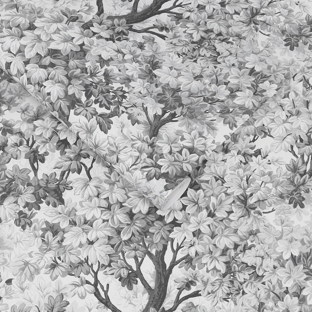 Coppice Mono Wallpaper