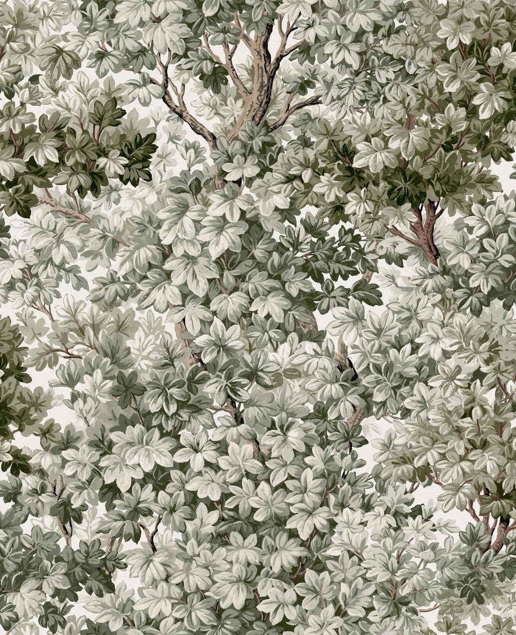 Coppice Sage Wallpaper