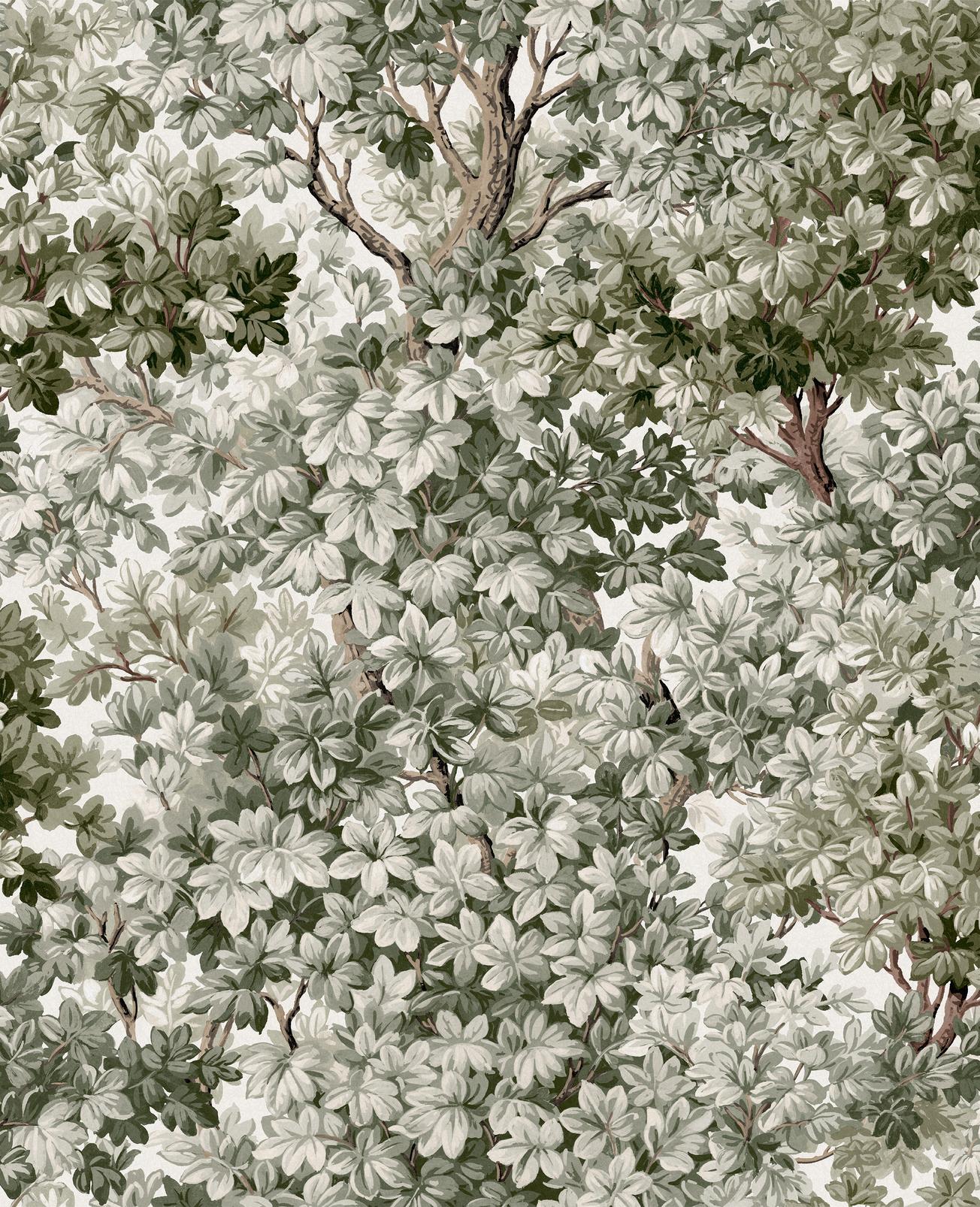 Coppice Sage Wallpaper
