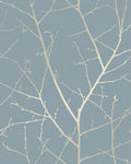 Boreas Breathe Wallpaper