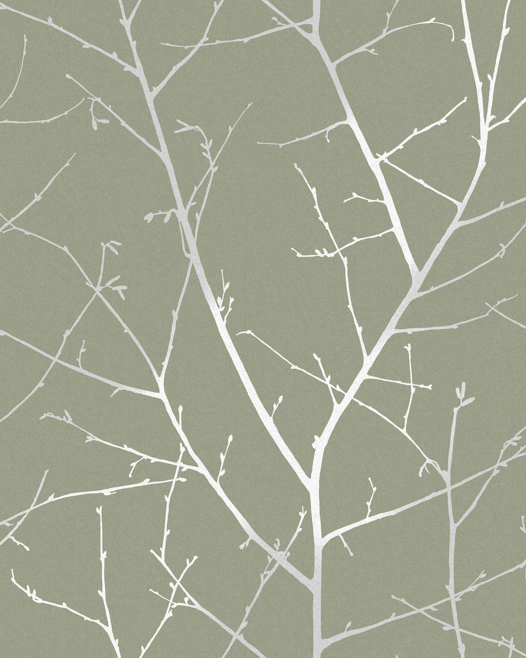 Boreas Sage Wallpaper