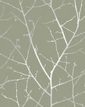 Boreas Sage Wallpaper