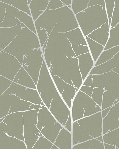 Boreas Sage Wallpaper