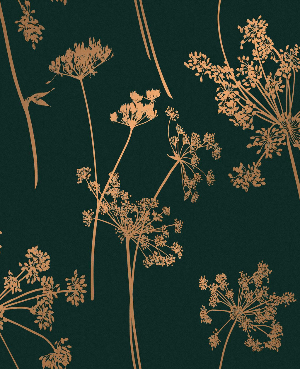 Anthriscus Emerald Wallpaper