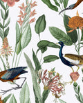 Glasshouse Day Wallpaper