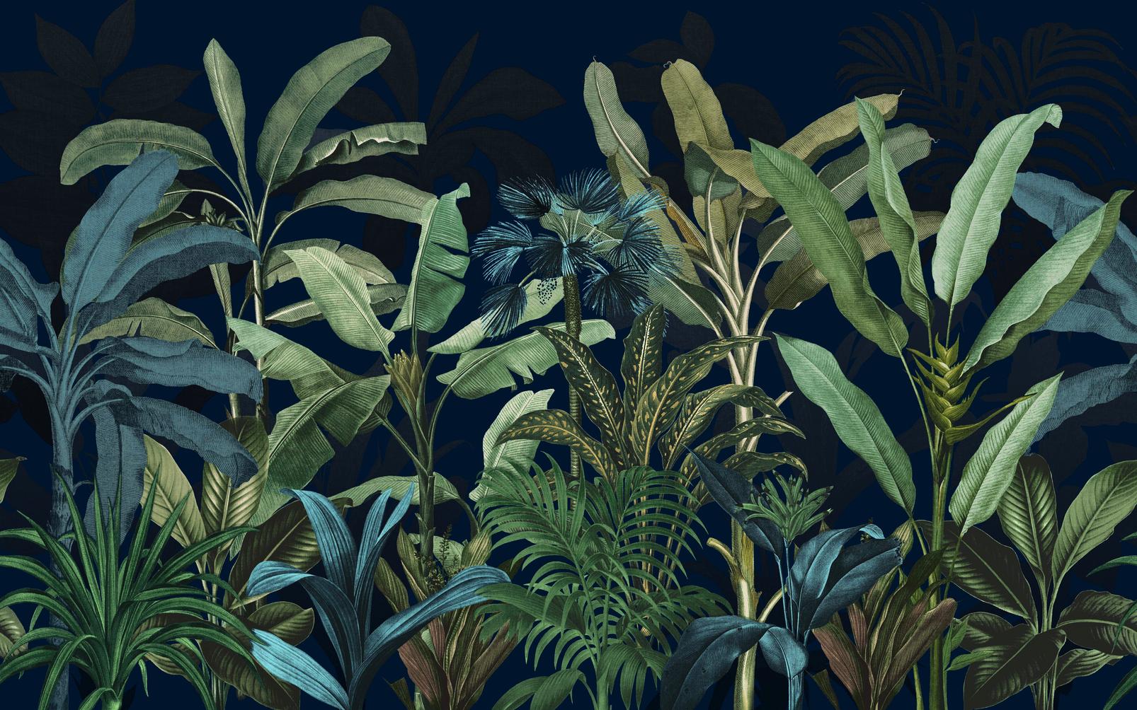 Congo Nightfall Bespoke Mural