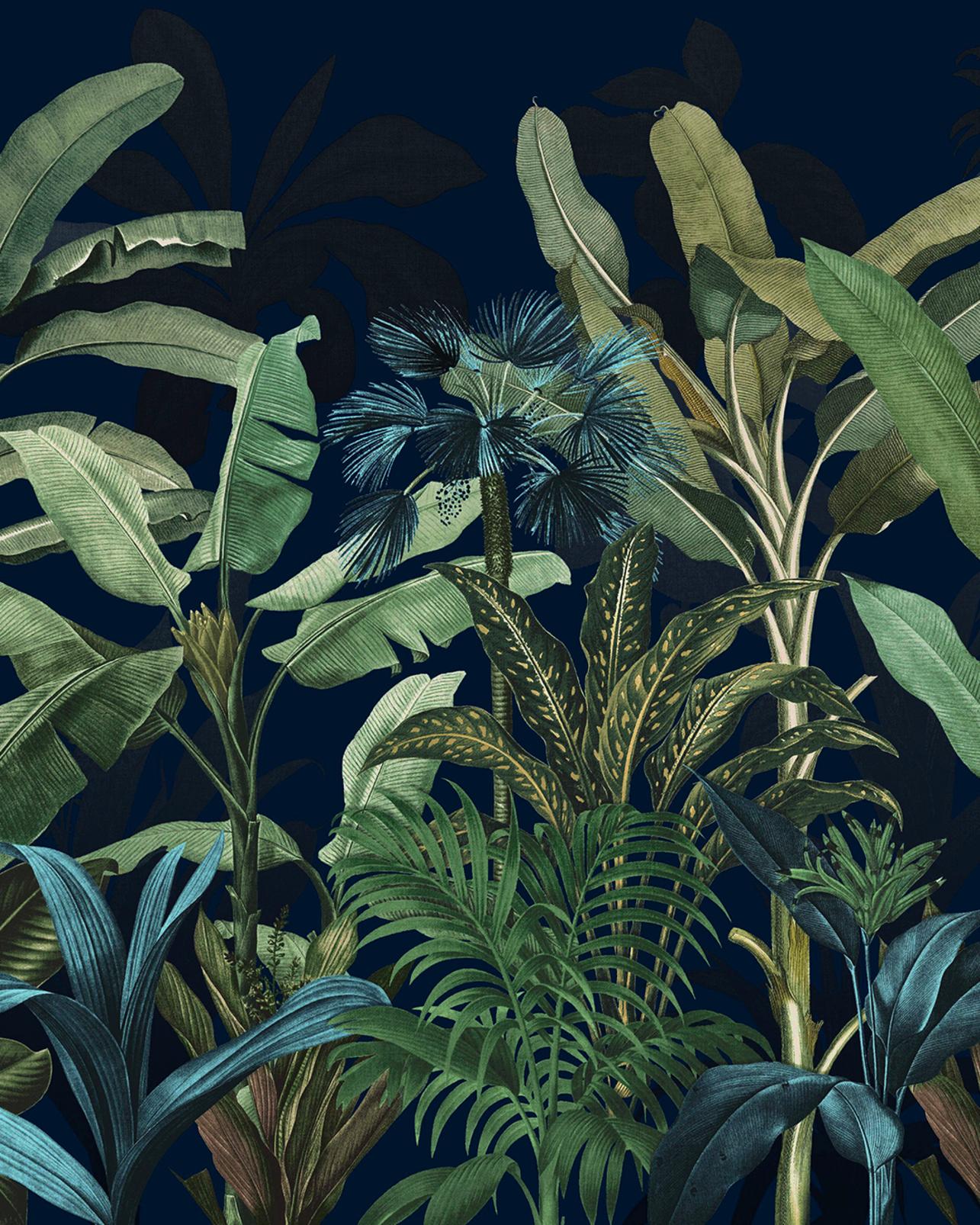 Congo Nightfall Bespoke Mural