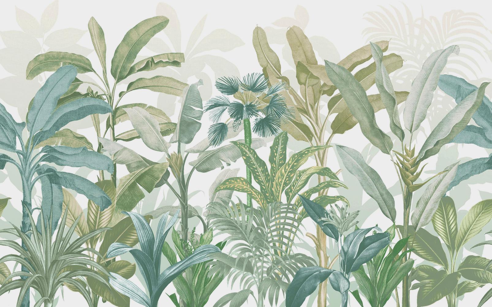 Congo Sage Bespoke Mural