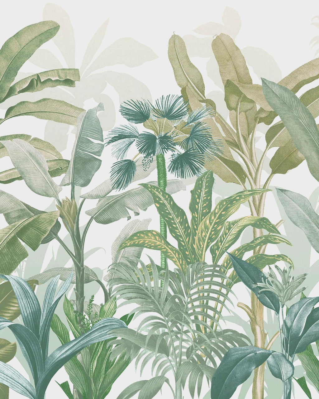 Congo Sage Bespoke Mural