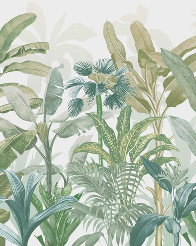 Congo Sage Bespoke Mural