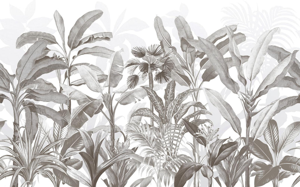 Congo Sketch Bespoke Mural