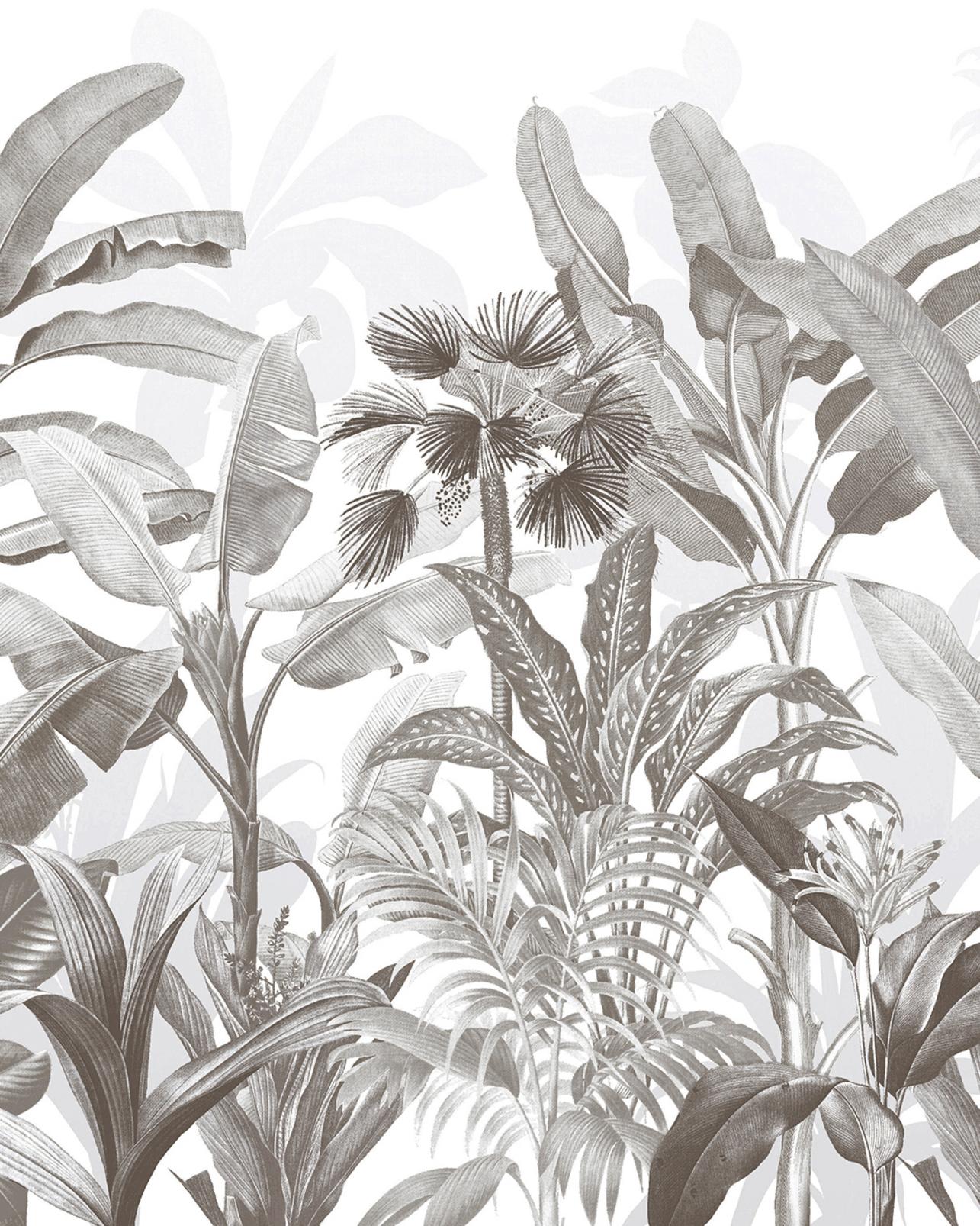 Congo Sketch Bespoke Mural