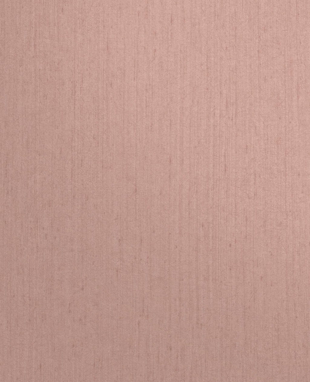 Tisbury Shell Wallpaper by Clarissa Hulse