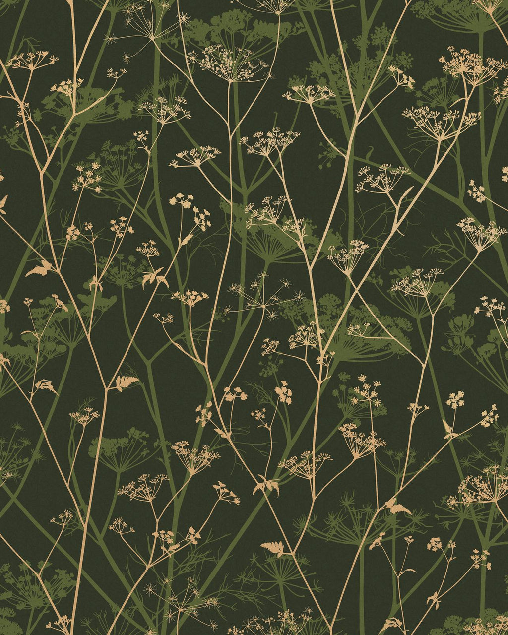 Wild Chervil Sage & Gold Wallpaper by Clarissa Hulse