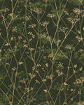 Wild Chervil Sage & Gold Wallpaper by Clarissa Hulse