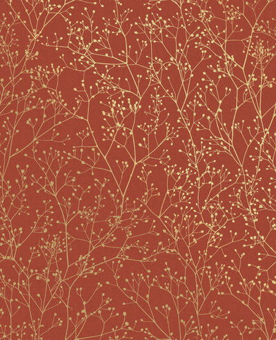 Gypsophila Paprika & Gold Wallpaper by Clarissa Hulse