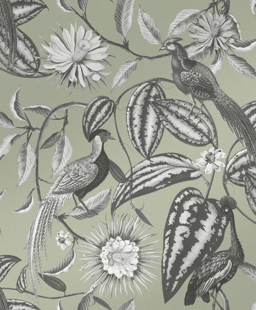 Amherst's Garden Sage Wallpaper