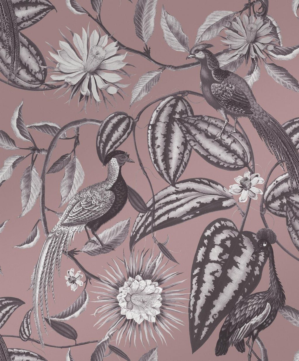 Amherst's Garden Mulberry Wallpaper