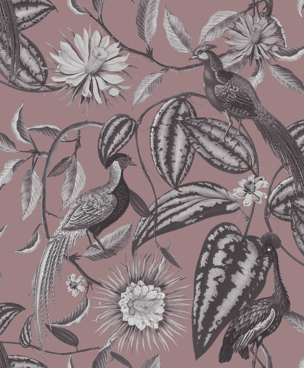 Amherst's Garden Mulberry Wallpaper