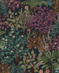 Jardin Botanico Black Wallpaper