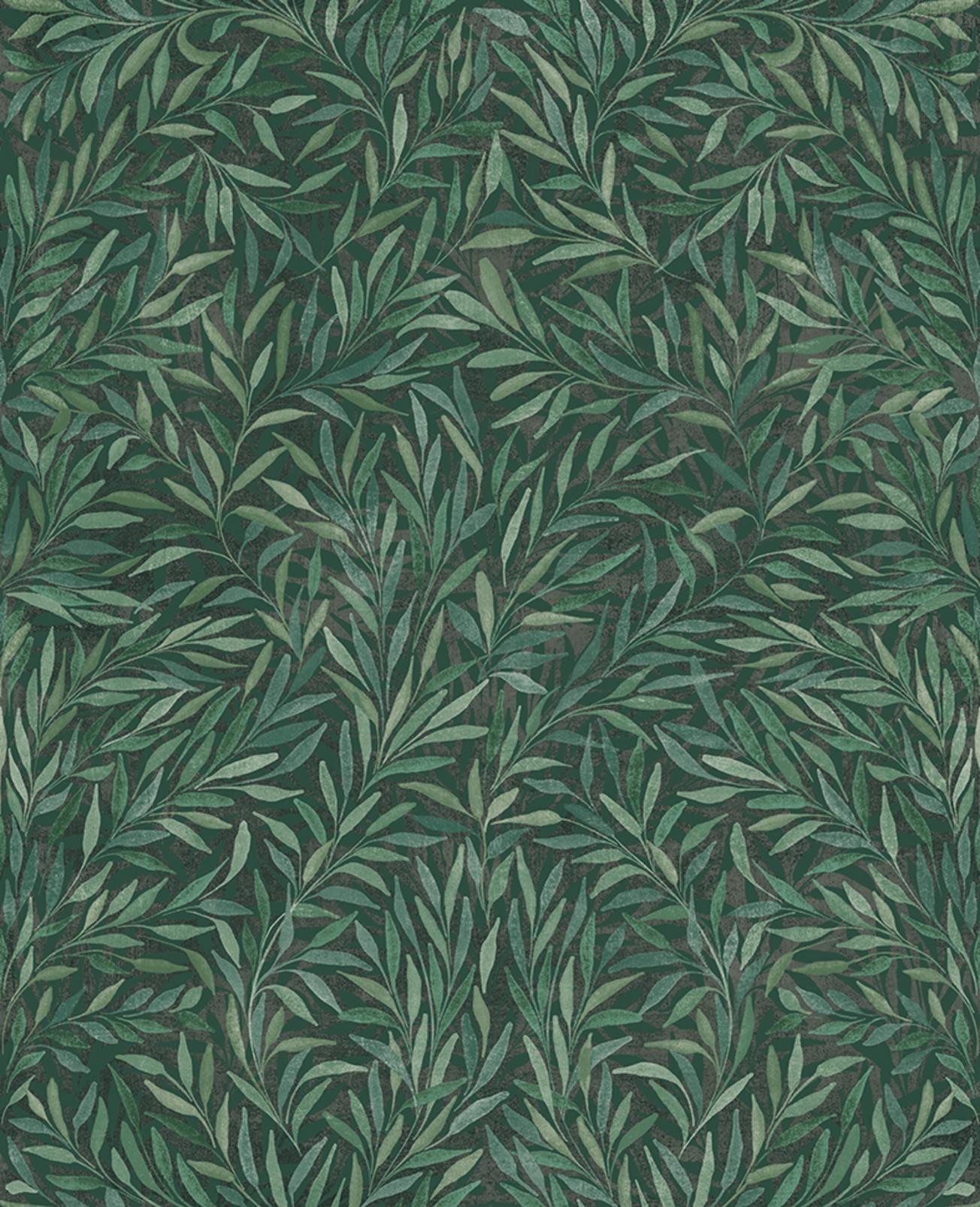 Salix Leaves Green Wallpaper