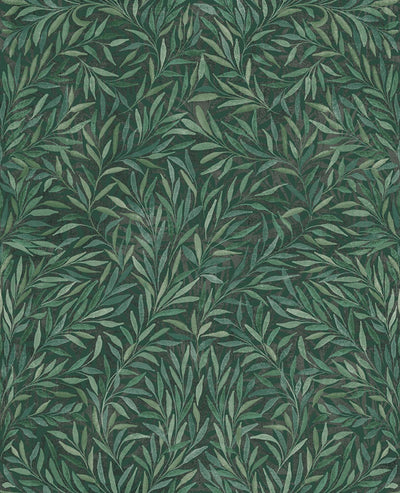 Salix Leaves Green Wallpaper