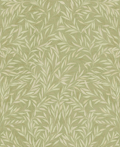 Salix Leaves Sage Wallpaper
