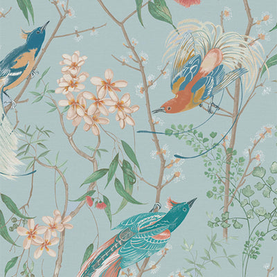 Clavering Birds Noon Sky Wallpaper