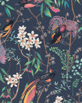 Clavering Birds Night Wallpaper