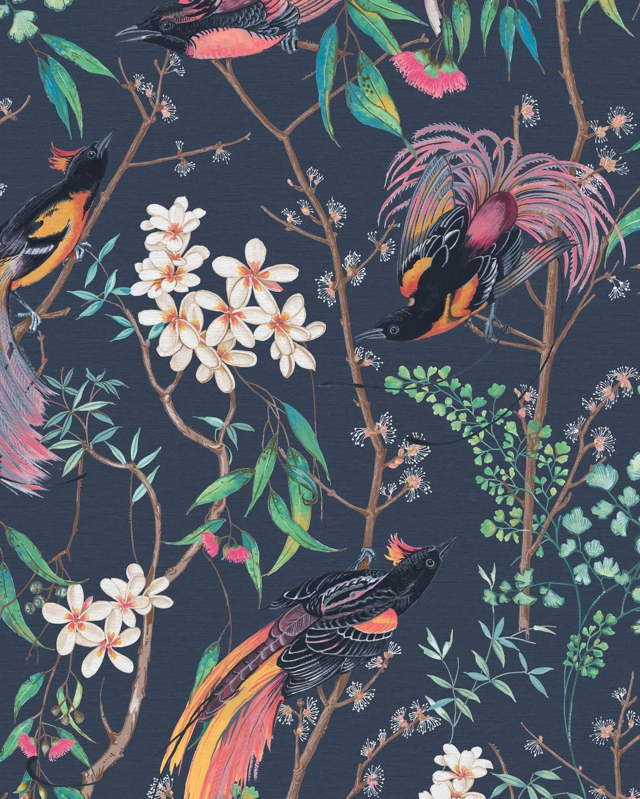 Clavering Birds Night Wallpaper