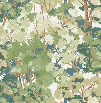 Folklore Tree Sage Wallpaper