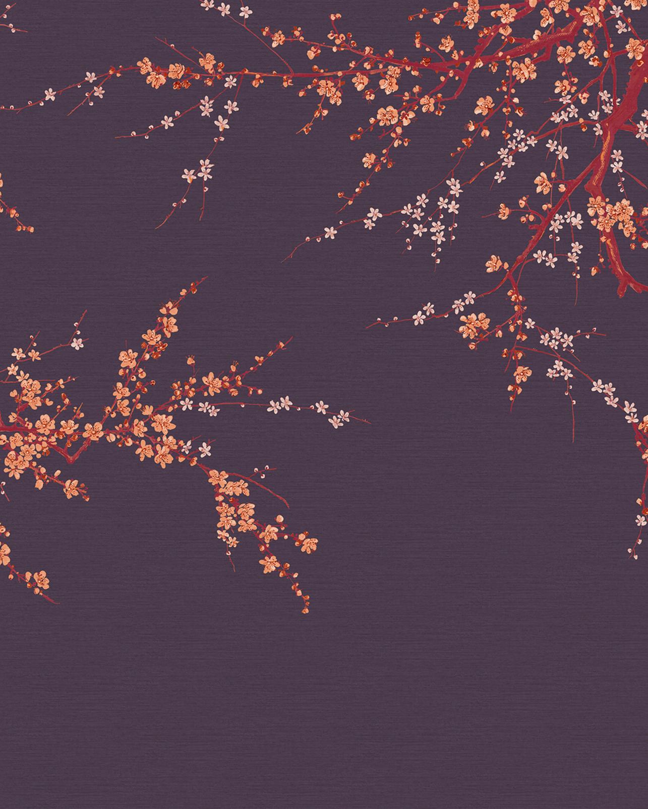 Sakura Sunset Bespoke Mural