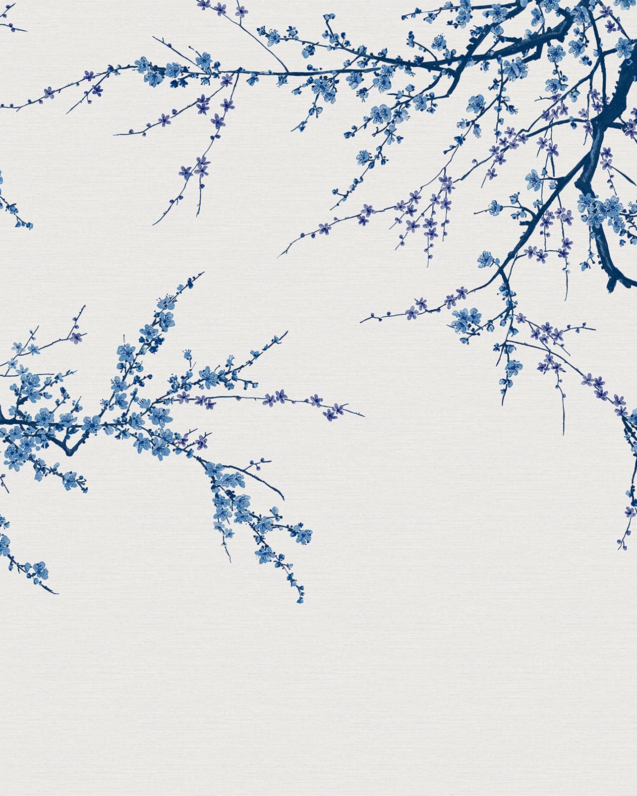Sakura Sky Bespoke Mural