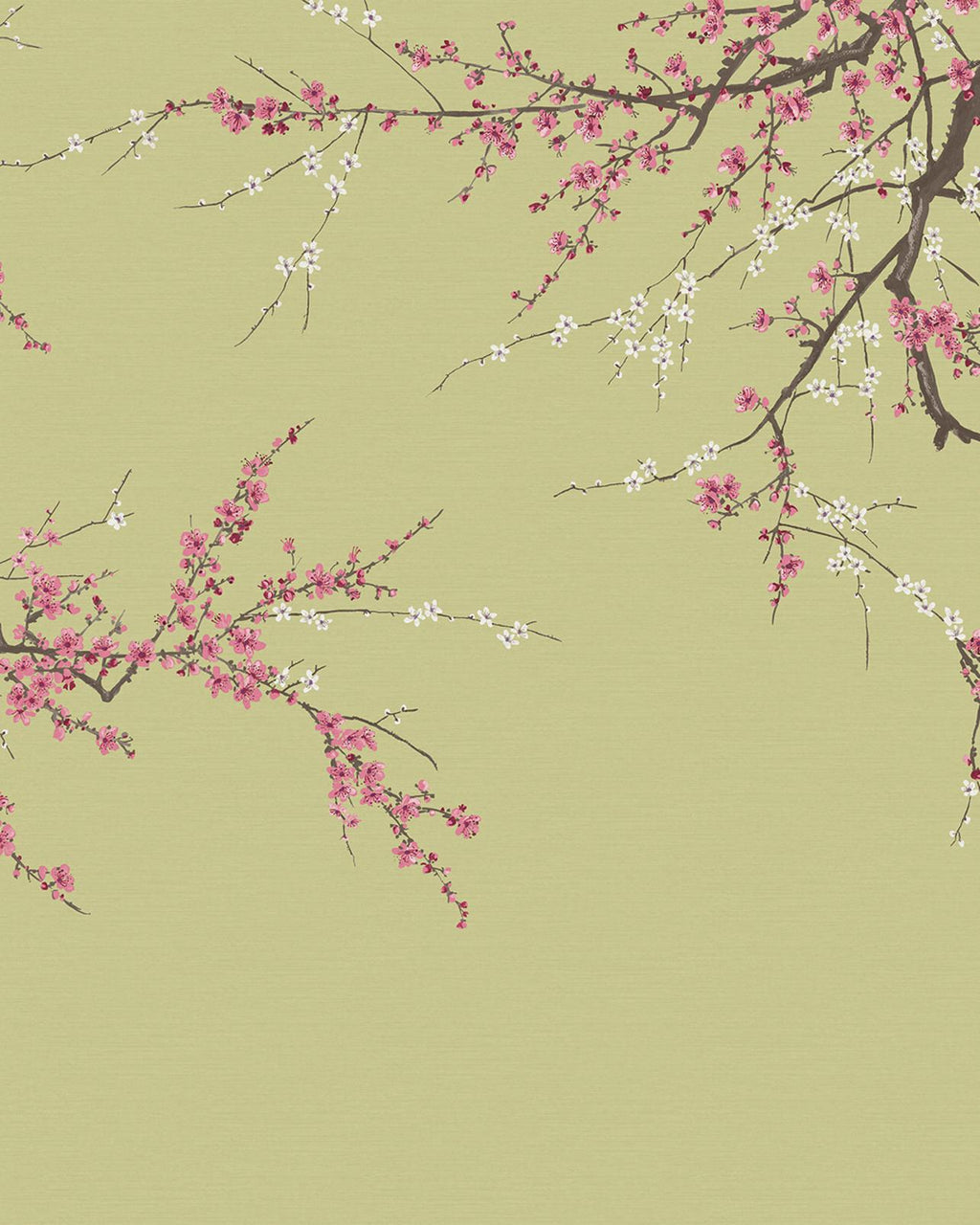 Sakura Viridis Bespoke Mural