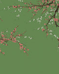 Sakura Ecuador Bespoke Mural