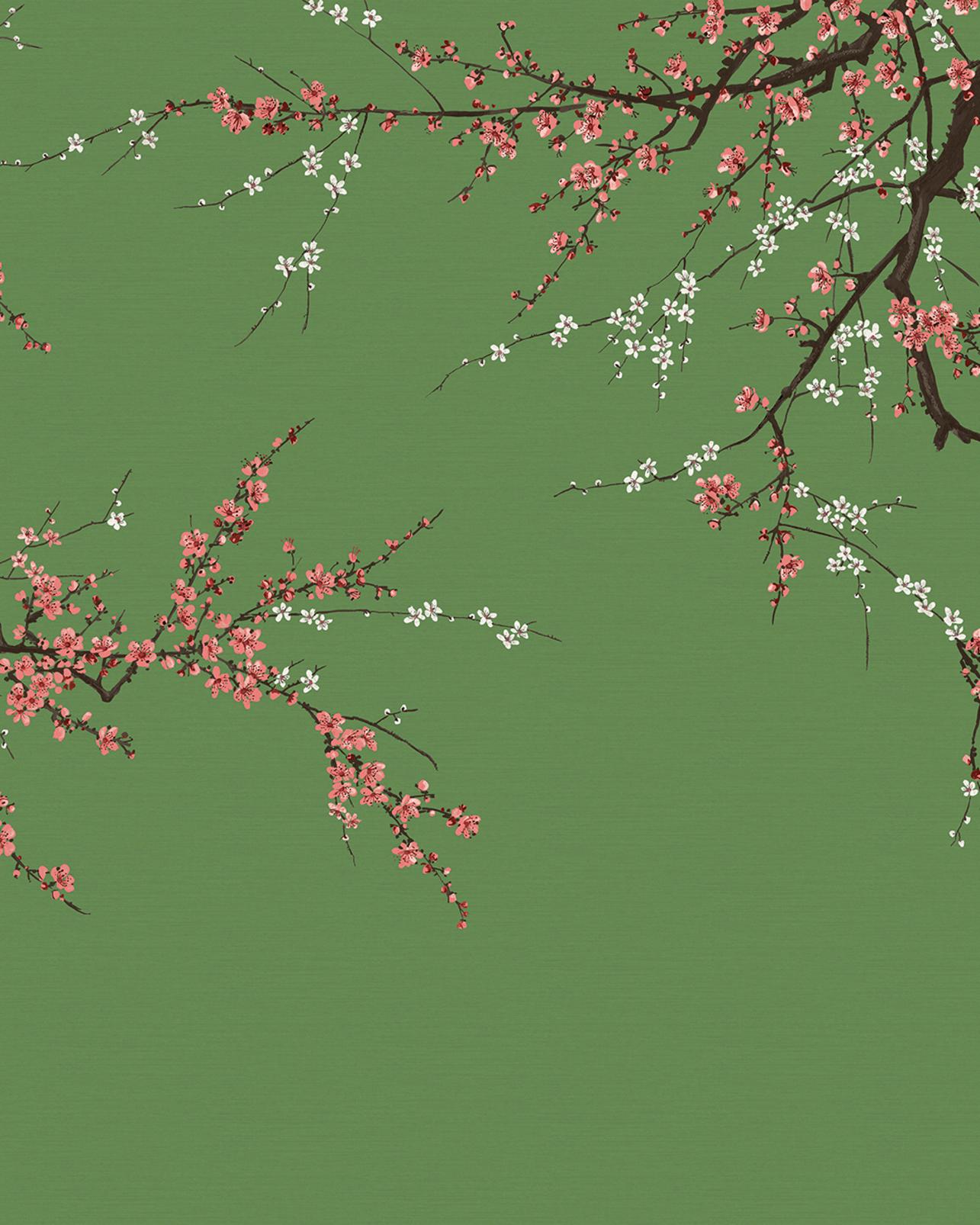 Sakura Ecuador Bespoke Mural