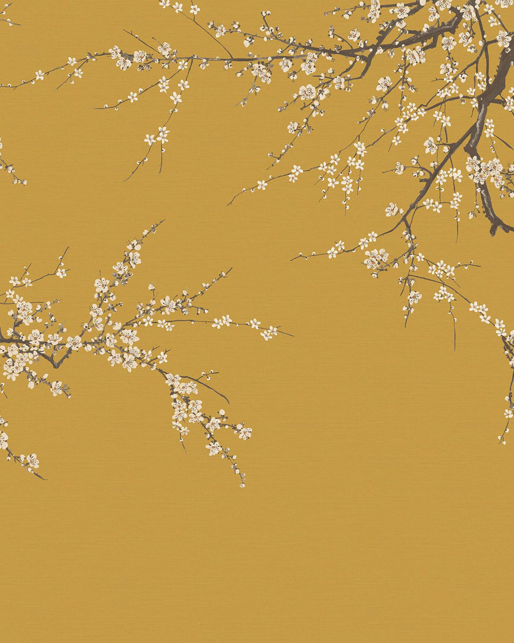 Sakura Turmeric Bespoke Mural
