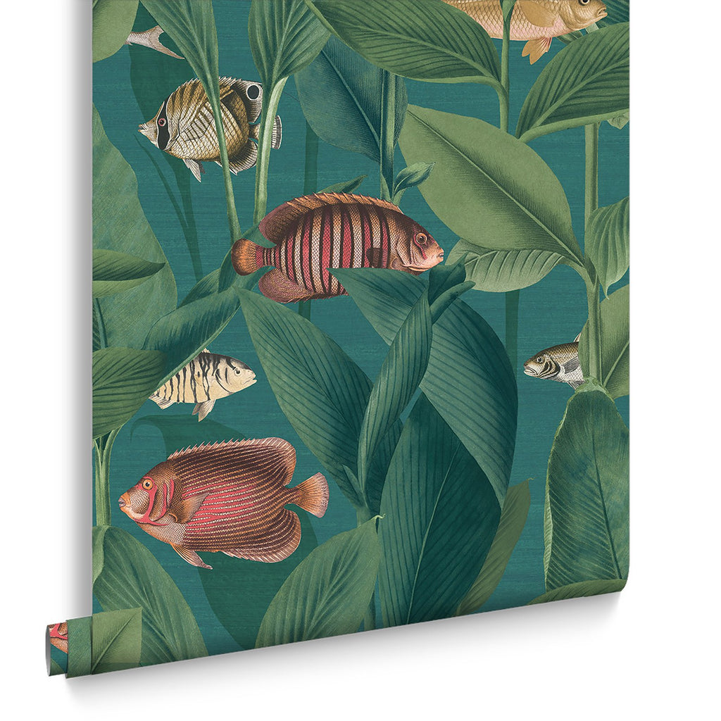 Aquarium Teal Wallpaper