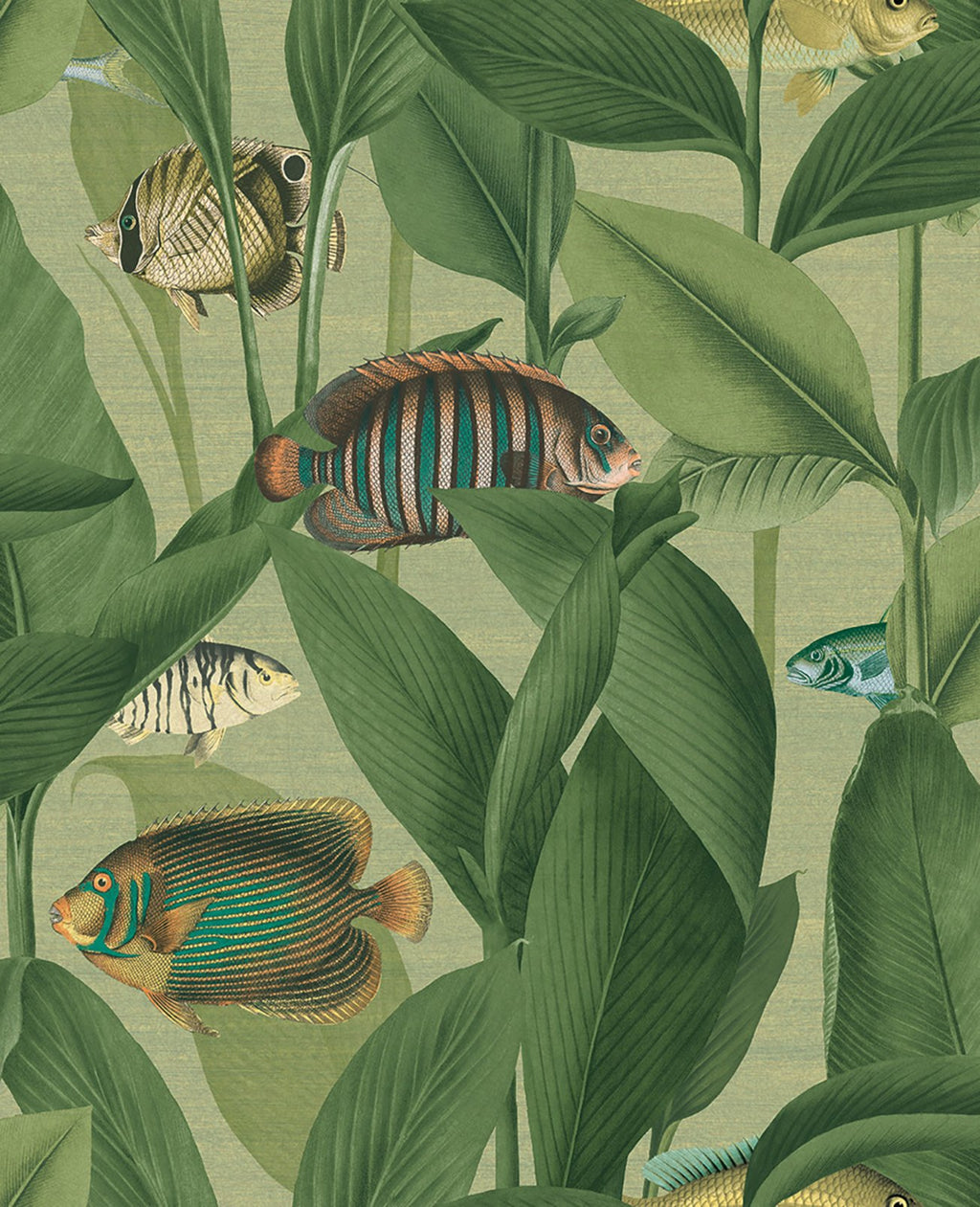 Aquarium Green Wallpaper