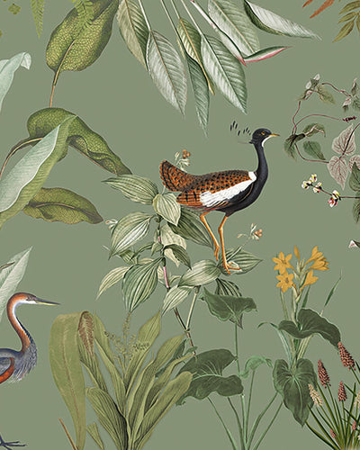 Glasshouse Sage Bespoke Mural