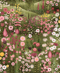 Glenwhan Wildflower Spring Wallpaper