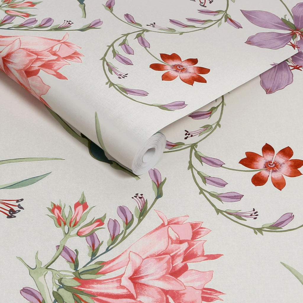 Botanist's Scroll Pink Wallpaper