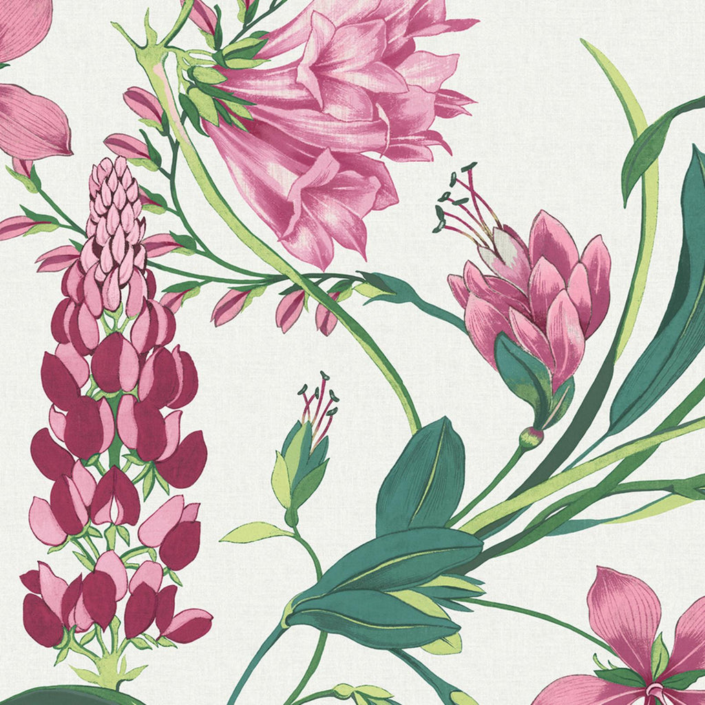 Botanist's Scroll Pink Wallpaper