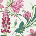 Botanist's Scroll Pink Wallpaper
