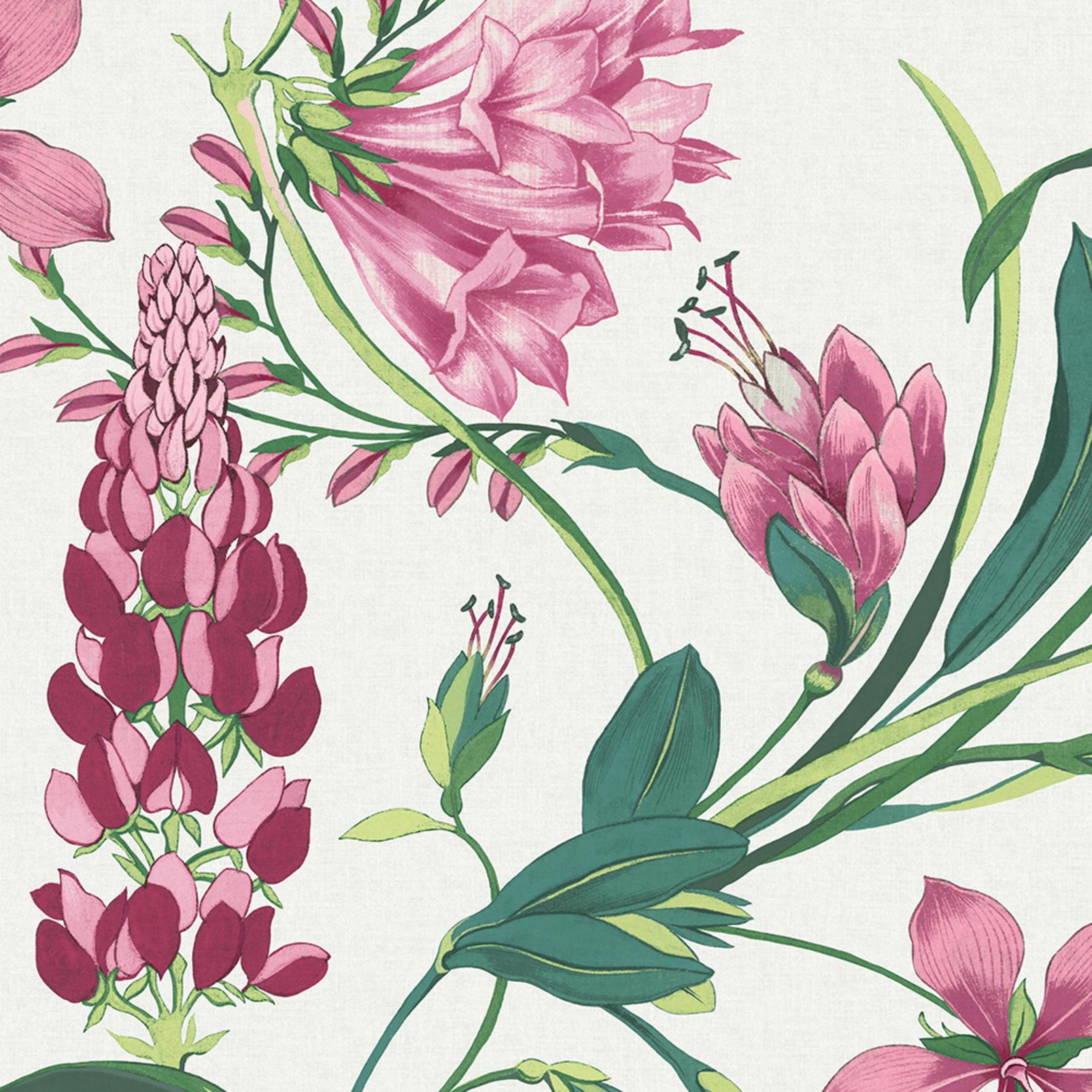 Botanist's Scroll Pink Wallpaper
