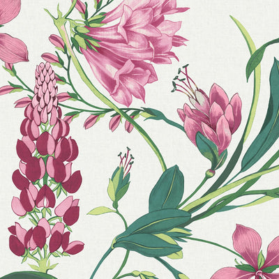 Botanist's Scroll Pink Wallpaper