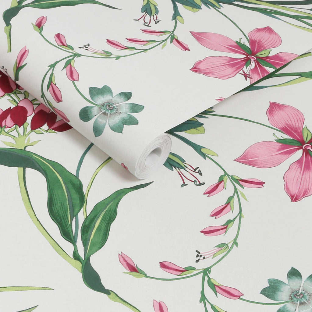 Botanist's Scroll Mauve Wallpaper