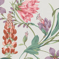 Botanist's Scroll Mauve Wallpaper
