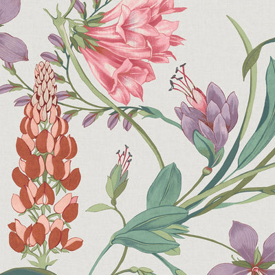 Botanist's Scroll Mauve Wallpaper